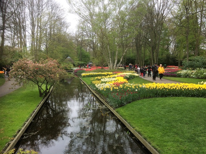 Zonnebloem afdeling