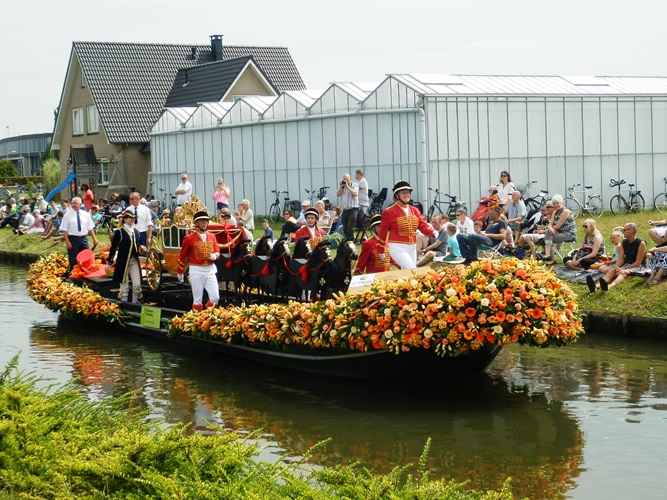 Zonnebloem afdeling