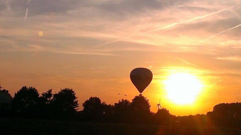 Zonnebloem afdeling