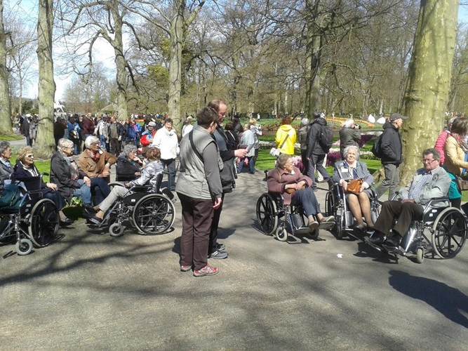 Zonnebloem afdeling