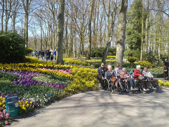 Zonnebloem afdeling
