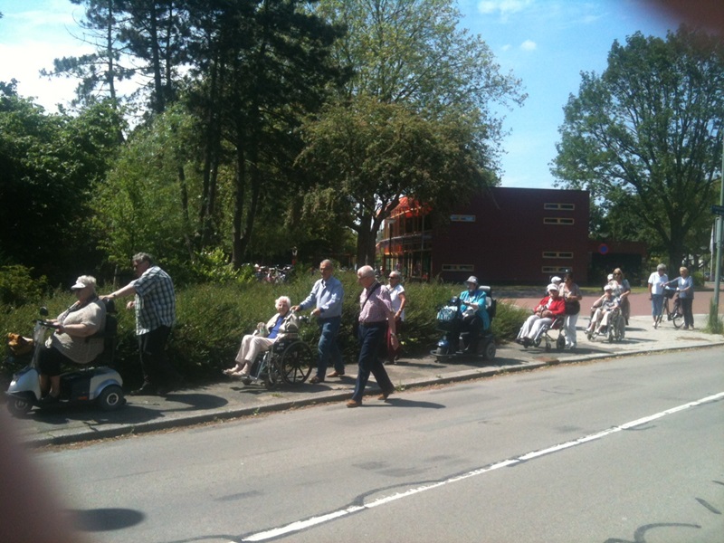 Zonnebloem afdeling