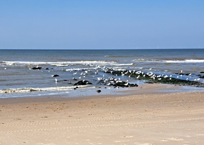 Wat is het strand toch mooi.