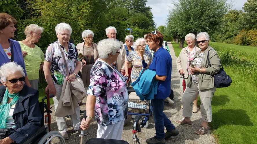 Zonnebloem afdeling