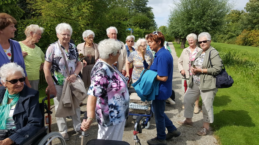 Zonnebloem afdeling