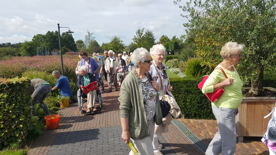 Zonnebloem afdeling