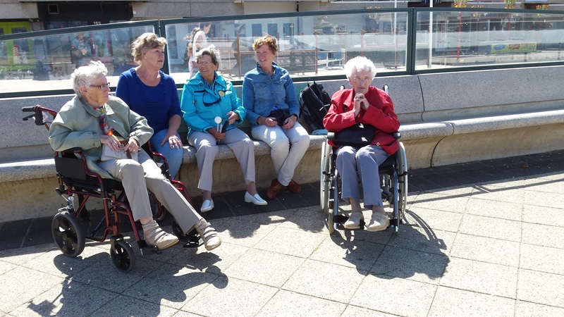 Zonnebloem afdeling