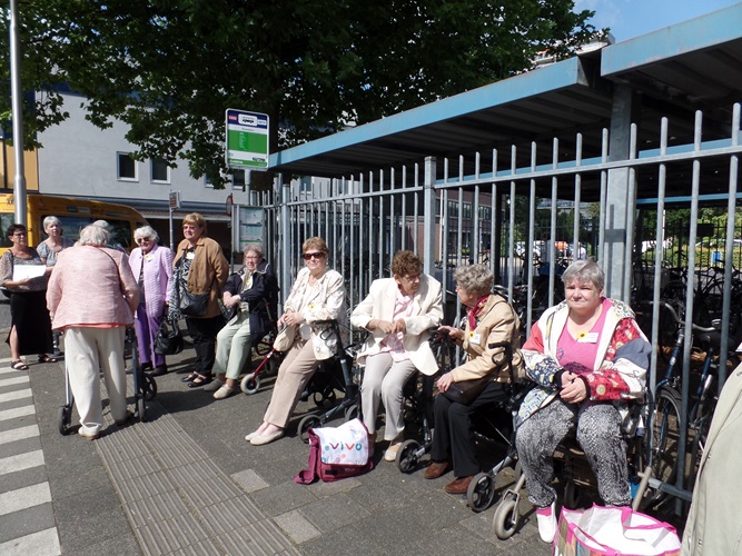 Zonnebloem afdeling