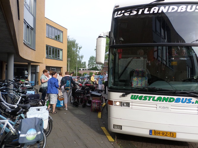 Zonnebloem afdeling