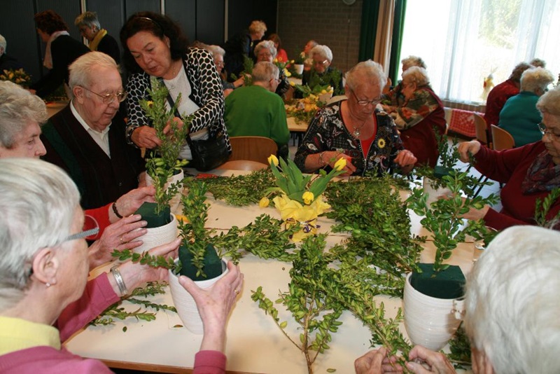 Zonnebloem afdeling