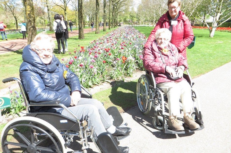 Zonnebloem afdeling