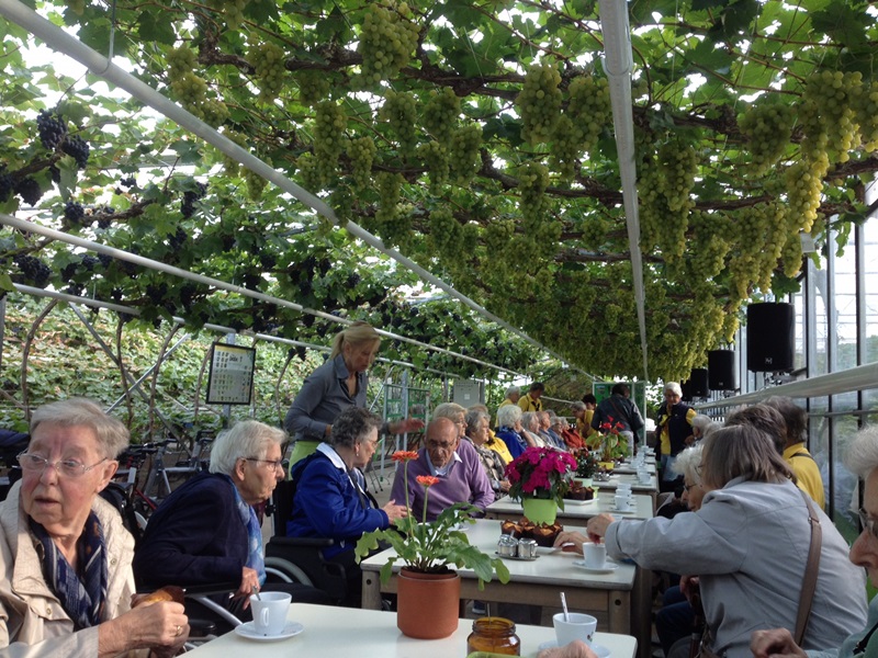 Zonnebloem afdelingsnieuws