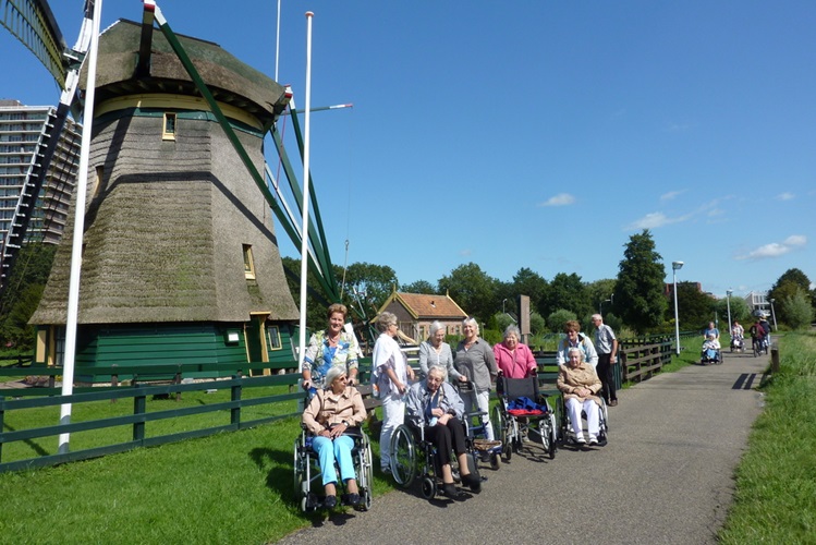 Zonnebloem afdeling