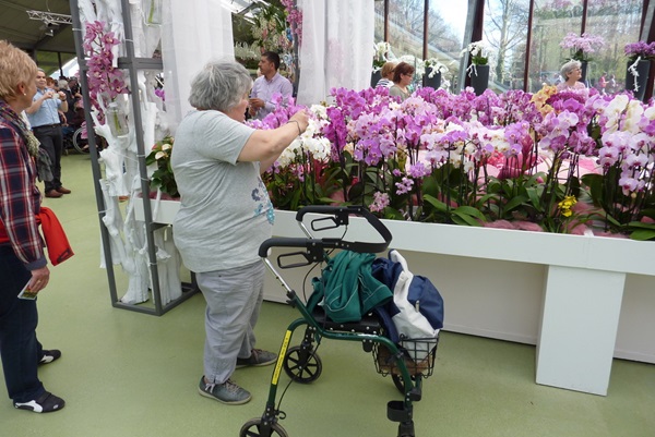 Zonnebloem afdeling