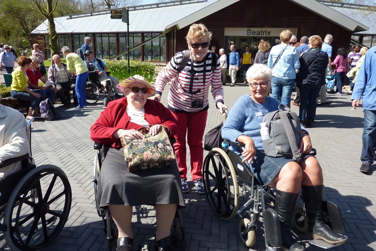 Zonnebloem afdeling