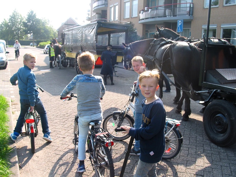 Zonnebloem afdeling