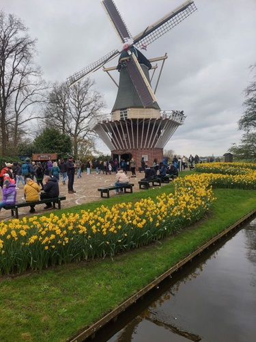 Een hollands plaatje