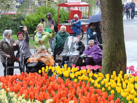 Zonnebloem afdeling