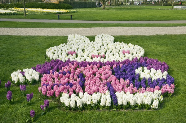 Zonnebloem afdelingsnieuws