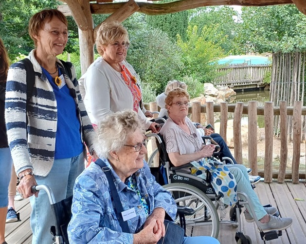 Bij de gieren