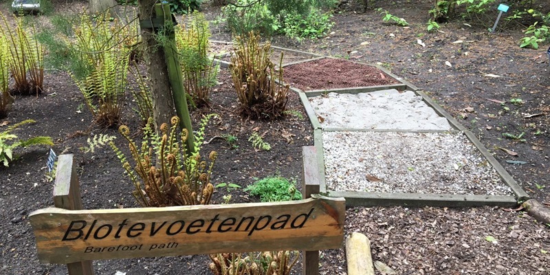 Zonnebloem afdelingsnieuws