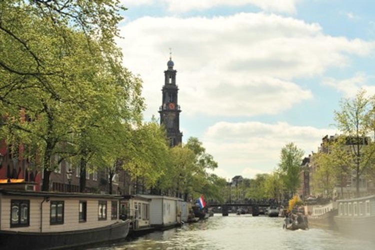 Zonnebloem afdeling