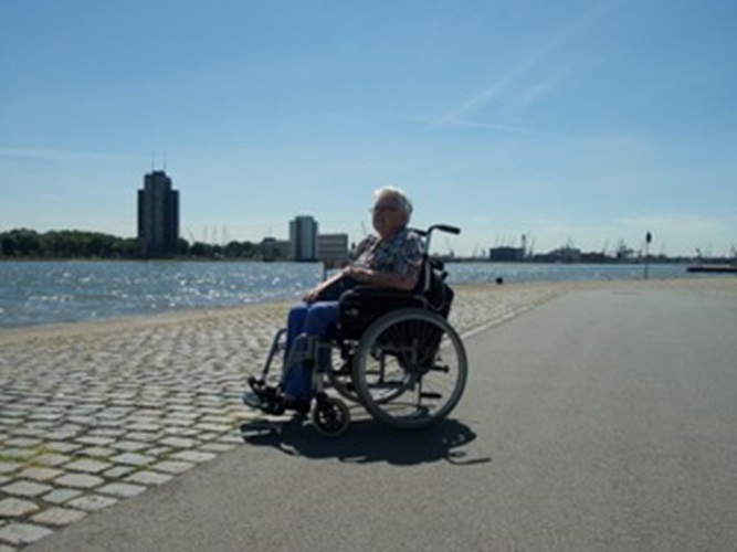 Zonnebloem afdeling