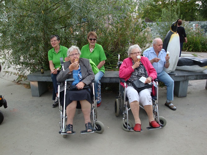 Zonnebloem afdeling