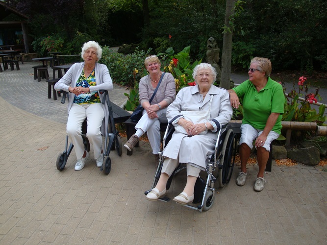 Zonnebloem afdeling