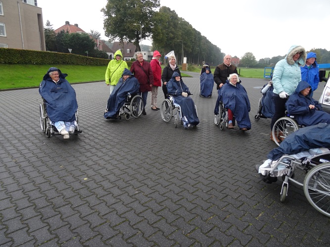 Zonnebloem afdeling