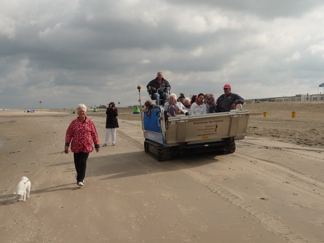 Zonnebloem afdeling