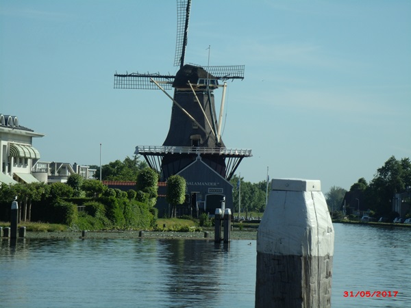 Zonnebloem afdeling