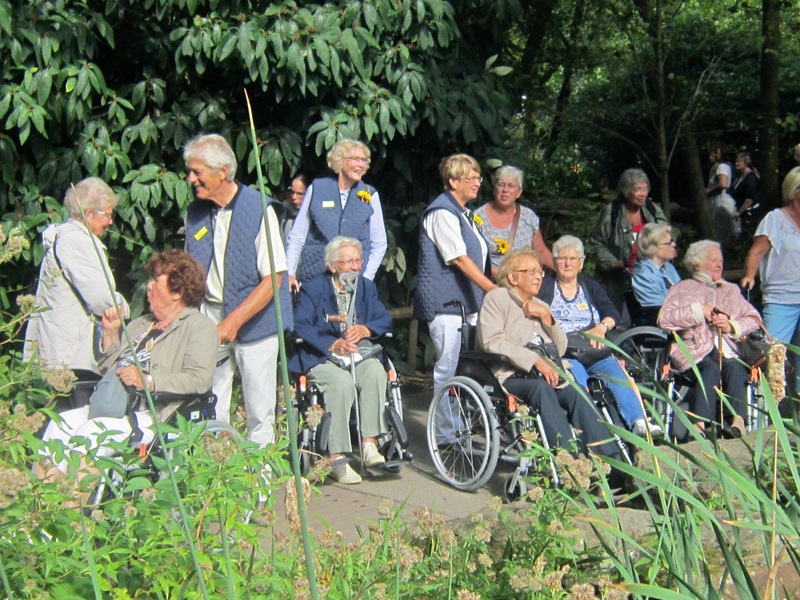 Zonnebloem afdelingsnieuws