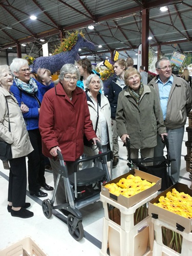 Zonnebloem afdeling