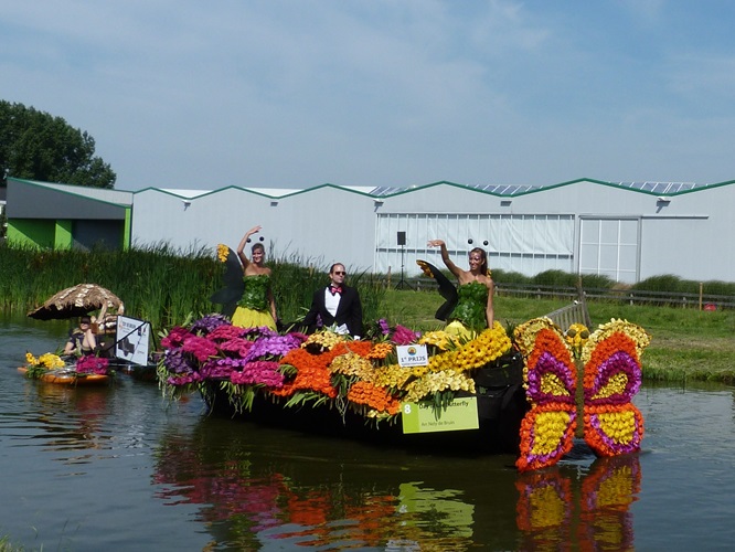 Zonnebloem afdeling