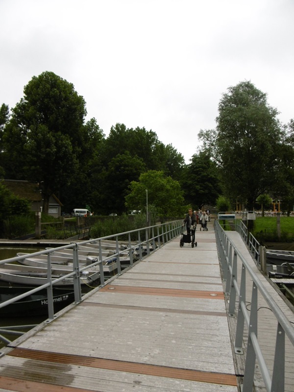 Zonnebloem afdeling