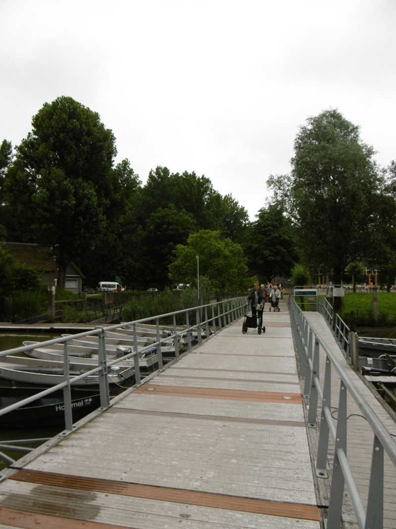 Zonnebloem afdeling