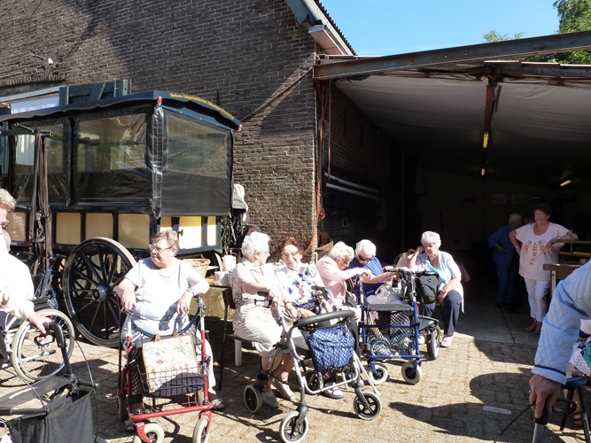 Zonnebloem afdeling