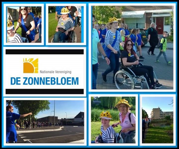Zonnebloem afdeling
