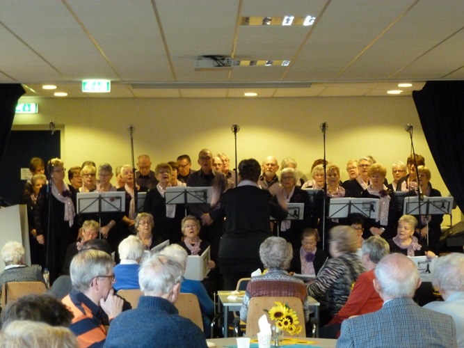 Zonnebloem afdeling