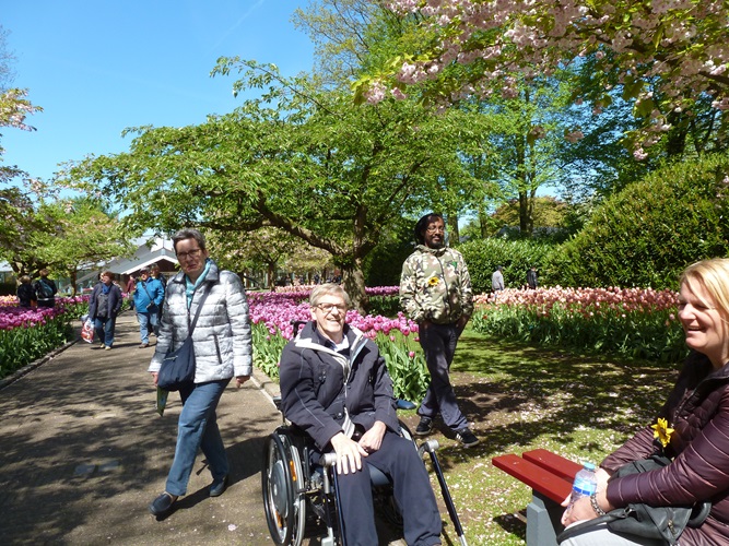 Zonnebloem afdeling