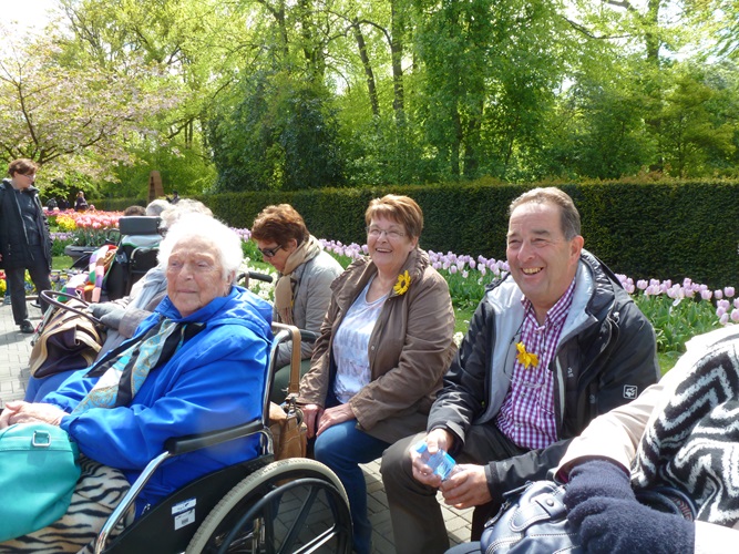 Zonnebloem afdeling