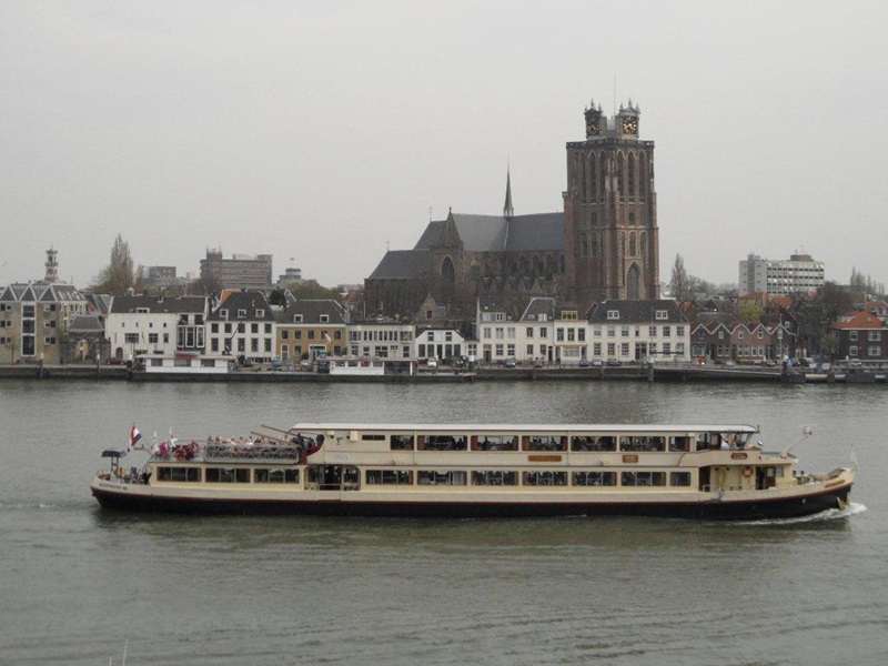Zonnebloem afdeling
