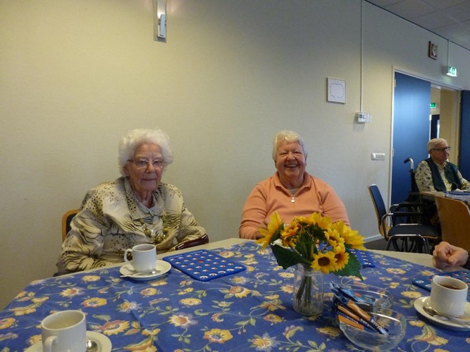 Zonnebloem afdeling