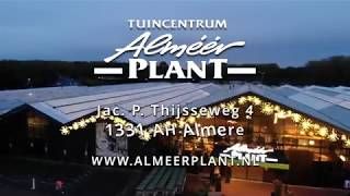 almeerplantjpg