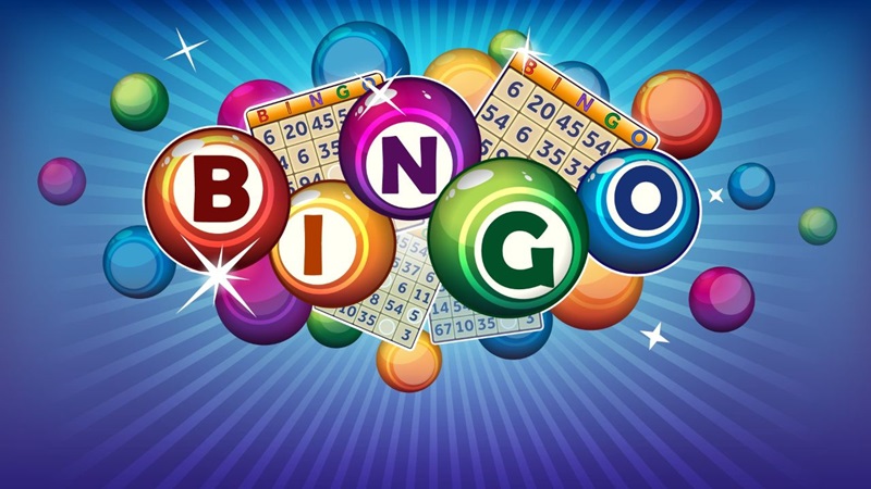 bingozonnebloemjpg