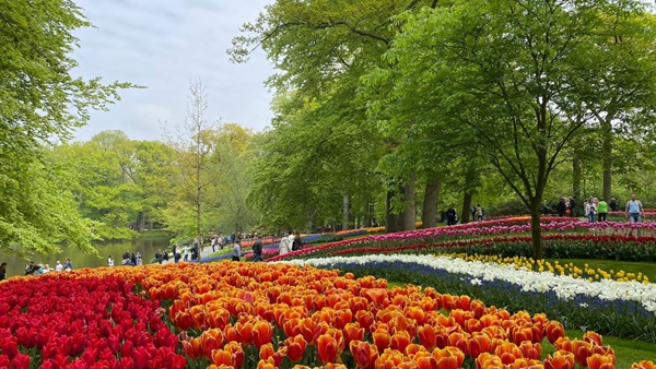 keukenhof-mei-2022-7jpg