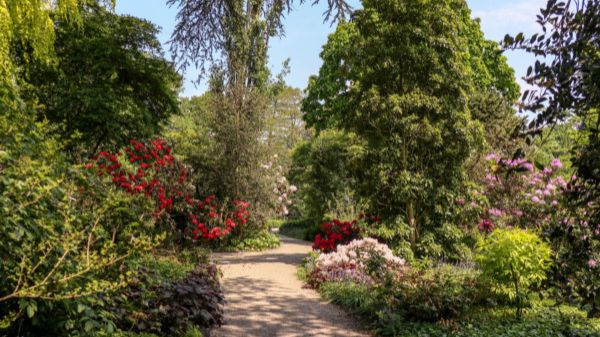 arboretum-rotterdamjpg