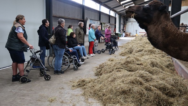 2023-10-13-medioren-naar-kamelenboerderij011jpg