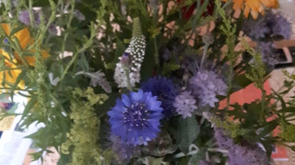 img-20180628-wa0003jpg